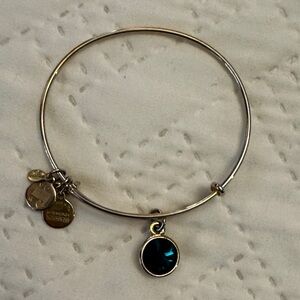Alex and Ani Charm Bracelet